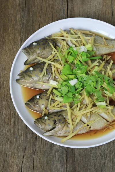 石斑鱼鱼或海低音蒸酱油泰国海鲜 i — 图库照片