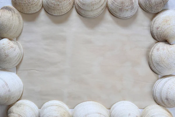 Vieilles coquilles et papier vintage marron sur un plancher de bois blanc . — Photo