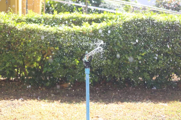 Springer loopt van water verspreid in de tuin. — Stockfoto