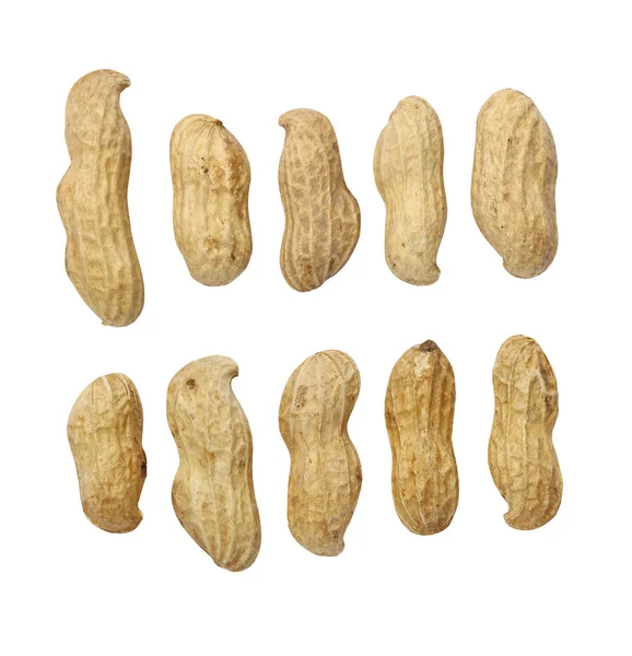 Groundnut Peanut Isolated White Background Have Clipping Paths Easy Design — Stock Photo, Image