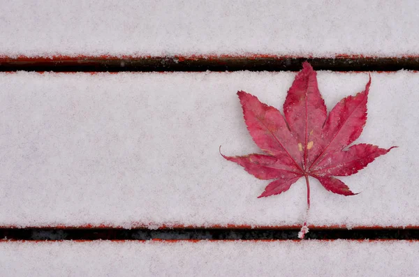 Concept background shot depicting a Canadian Flag the end of autumn, fall season and start of winters.Maple leaf (acer palmatum) placed on red wooden patio with the first snow of season in November