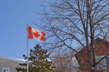 Ottawa, Ontario, Kanada, 2020. Kanada Ulusal Bayrağı mavi gökyüzüne karşı yükseliyor. Evleri ve kurumuş ağaçları var. Fransızca L 'Unifoli, ortasında beyaz kare ve 11 köşeli kırmızı akçaağaç yaprağı d olan kırmızı bir alandan oluşur.