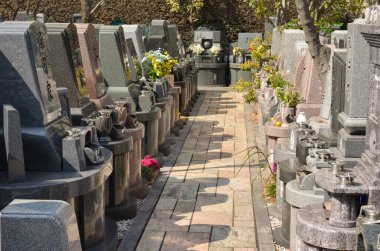 old Japanese graveyard area