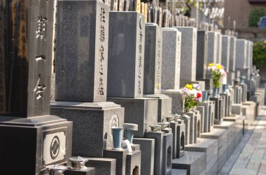 old Japanese graveyard area