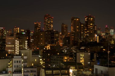 Tokyo Skyline geceleri, Japonya