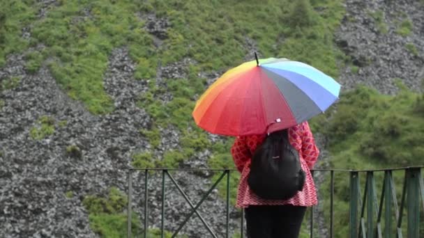 Young Indian Woman Rainbow Umbrella Speaking Phone — Video