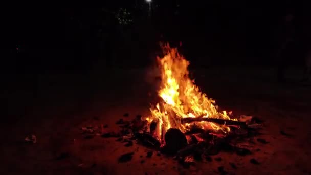 Чандигарх Индия 2020 People Offering Popcorn Chikki Rewari Peanuts Burning — стоковое видео
