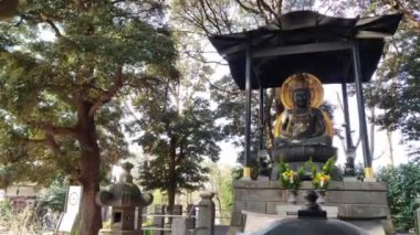 Buddha Tokyo 'daki tapınakta poz veriyor.