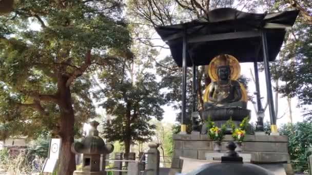 Boeddha Zittend Lotushouding Bij Tempel Tokio — Stockvideo
