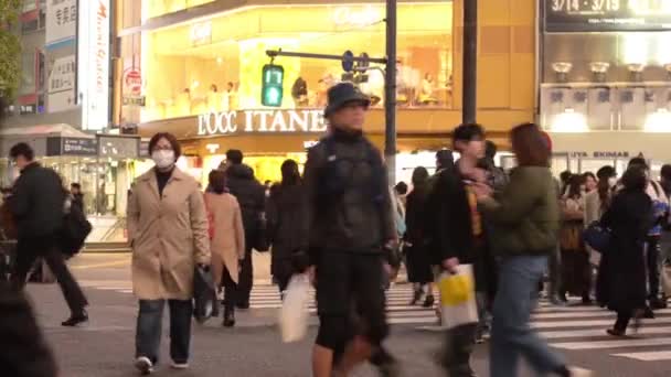 Shibuya People Crossing Evening — Wideo stockowe