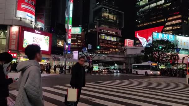 Shibuya Scramble Pan Night — Video Stock