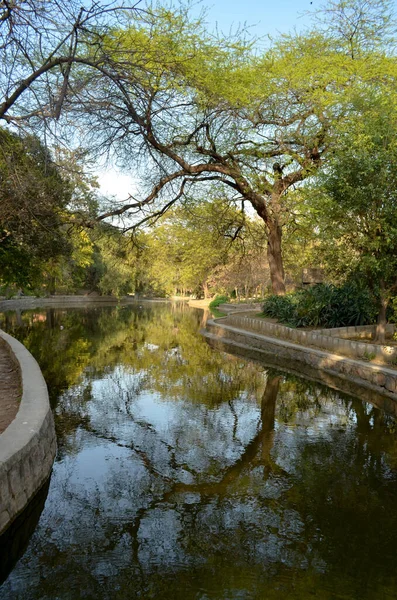 Vodní Tělo Obklopen Stromy Jeho Odraz Lodhi Garden New Delhi — Stock fotografie