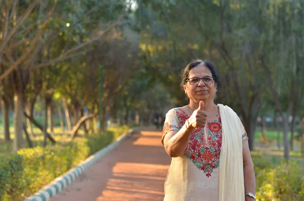 Retrato Uma Mulher Norte Índia Olhando Feliz Sênior Vestindo Tradicional — Fotografia de Stock