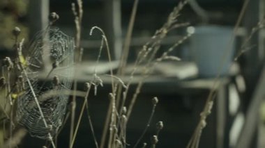 Günlük ile kırsal manzara evleri