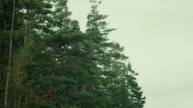 Küçük Fiyordu yüzen kırmızı bir Sal