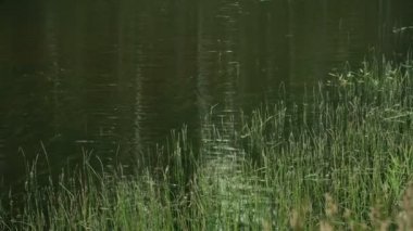 Küçük Fiyordu yüzen kırmızı bir Sal