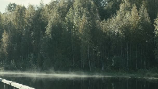 Venkovská krajina s mlhou na vodě, nedaleko staré dřevěné molo — Stock video