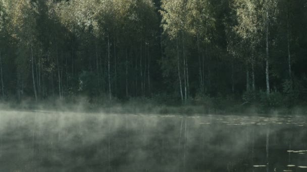 Сельский пейзаж с туманом на воде возле старой деревянной пристани ранним утром — стоковое видео