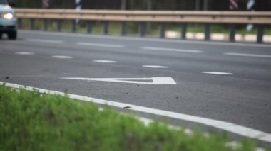 Otoyol yakınında yeşil çimen