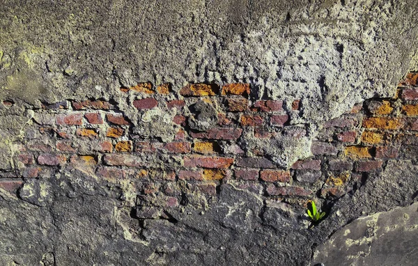 Old wall with red bricks inside, space for design