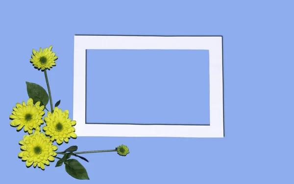 White paper frame with yellow chamomile border on blue background