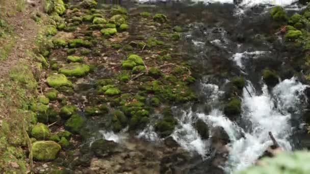 Source of the river Kamniska Bistrica — Stock Video