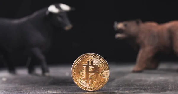 Bitcoin-Marktpreis bär oder bullish Trend mit Bullen und Bären Zahlen im Hintergrund — Stockbild Bitcoin-Kryptowährung und Bullenmarkt-Konzept — Stockfoto