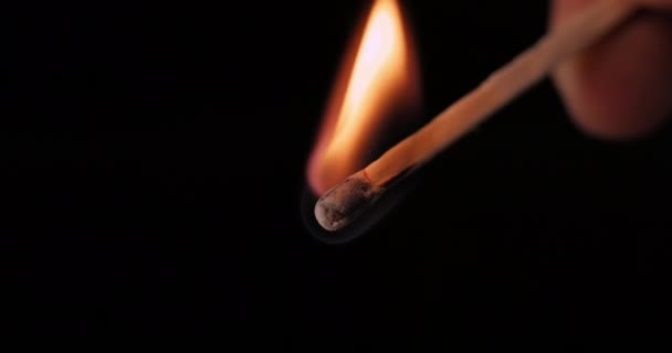 点火的火柴。 燃烧失火的细节和燃烧的火焰 — 图库视频影像