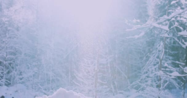 在一个寒冷的早晨,冬日在雪地里闪烁着,树上长满了树木. 4k分辨率 — 图库视频影像