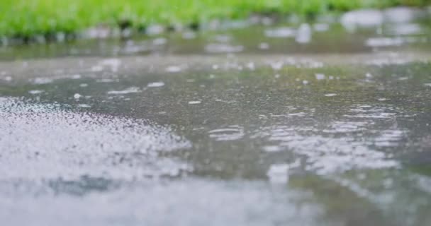 Slow Motion Close Up 4k: krople wody deszczowej wpadające do dużej kałuży na asfalcie, zalewające ulicę. Powodzie na drogach spowodowane intensywnym deszczem w porze deszczowej. Krople deszczu spadające na zatopioną drogę — Wideo stockowe