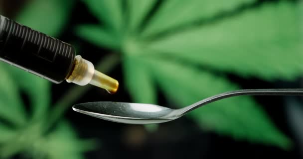 CBD Paste in a syringe on spoon with marijuana plant — ストック動画