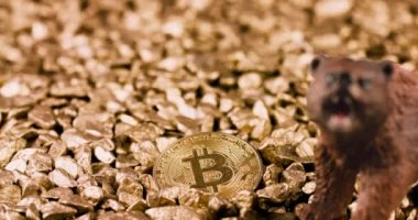 Bitcoin crypto Bear market concept