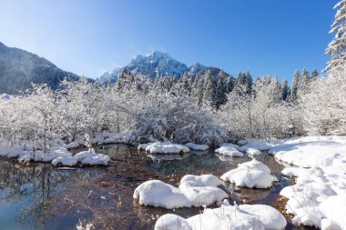 Zelenci springs at Kranjska Gora Slovenia