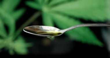 CBD hemp oil dropping on spoon