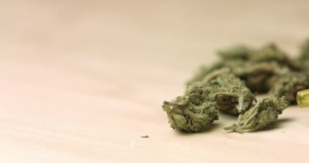 CBD Paste with Cannabis Buds — Stock Video