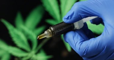 Scientist hand examining CBD hemp paste