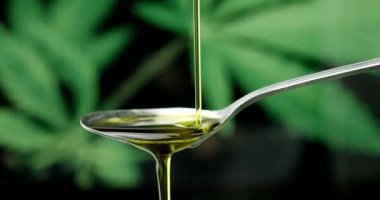 CBD hemp oil dropping on spoon