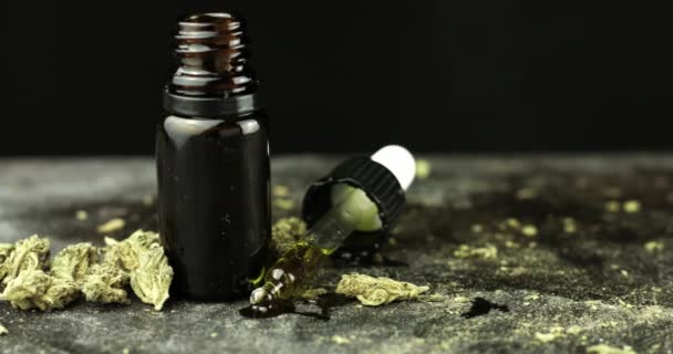 CBD hemp oil and cannabis buds — 图库视频影像