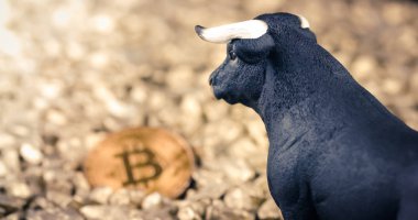 Bitcoin crypto Bull market concept