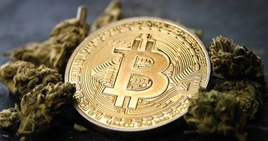 Cannabis buds and Bitcoin coins