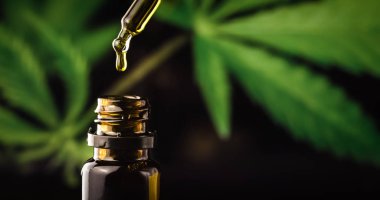 CBD hemp oil in a droplet with marijuana plant