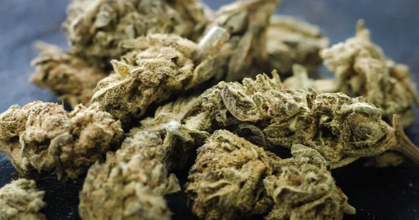 Cannabis-Knospen auf schwarzem Hintergrund — Stockfoto