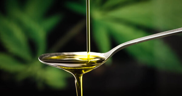 Масло конопли CBD падает на ложку

