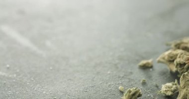 Cannabis buds and Bitcoin coins