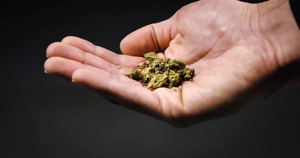 Cannabis buds falling on hand — 스톡 사진