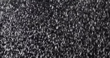 Snow falling on dark sky