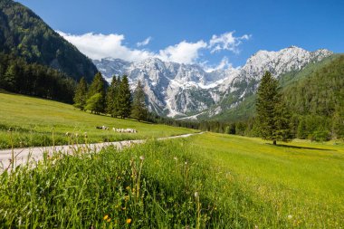 Jezersko, Slovenya dağ vadisi