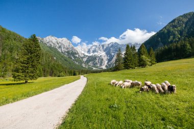 Jezersko, Slovenia mountain valley clipart