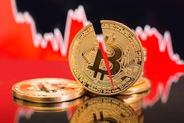 Bitcoin yarılama etkinliği