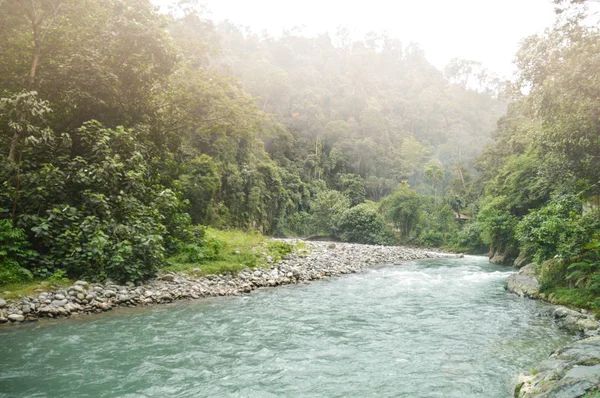 Hermoso Paisaje Montaña Con Río Bosque —  Fotos de Stock